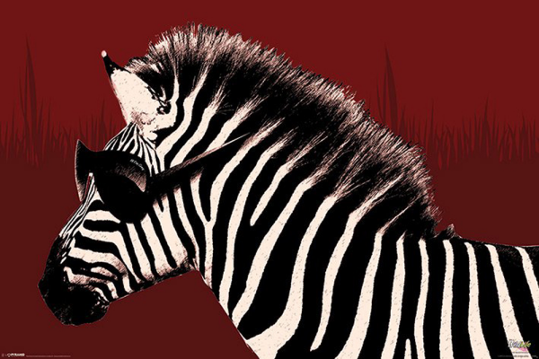 Its A Wildlife - Poster - Troy The Zebra