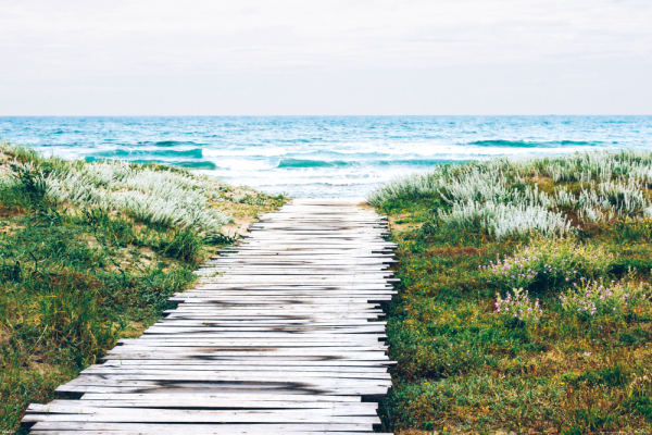 Weg zum Strand - Poster - Endloser Horizont