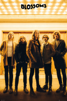 Blossoms  - Poster - Band