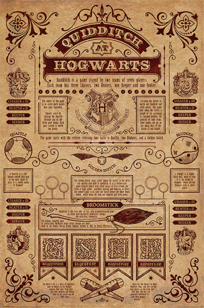 Harry Potter - Poster - Quidditch At Hogwarts