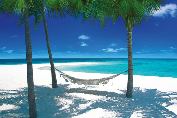 Strände - Poster - Hammock In Paradise