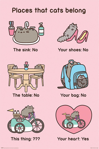 Pusheen - Poster - Places Cats Belong