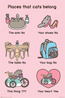 Pusheen - Poster - Places Cats Belong