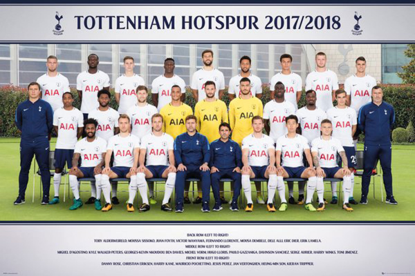 Fußball - Poster - Tottenham Hotspur - Team Photo 17/18