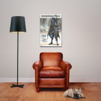 Overwatch - Poster - Ana