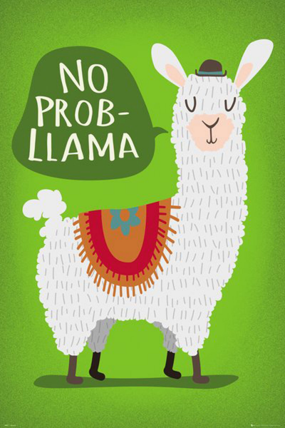 Tiere - Poster - Llama - No Probllama
