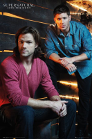 Supernatural - Poster - Brothers