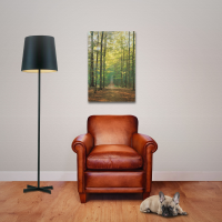 Forests - Poster - Waldweg