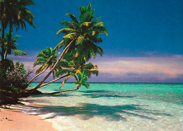 Strände - Poster - Tropical Beach