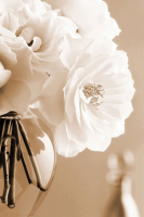 Zalewski, Christine - Poster - Rosen in Sepia