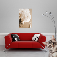 Zalewski, Christine - Poster - Rosen in Sepia