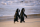 Pinguine - Poster - African Penguins