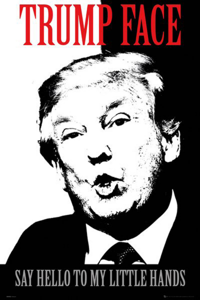 Trump, Donald - Poster - Face