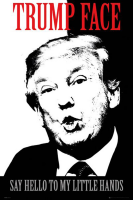 Trump, Donald - Poster - Face