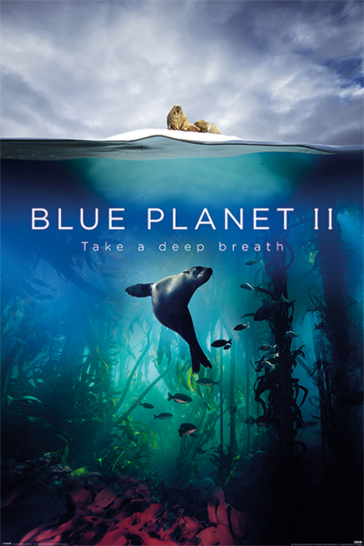 Landschaften - Poster - Blue Planet 2 - Deep Breath