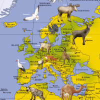 Landkarten - Poster - Kinderweltkarte - 100 Tiere unserer Erde
