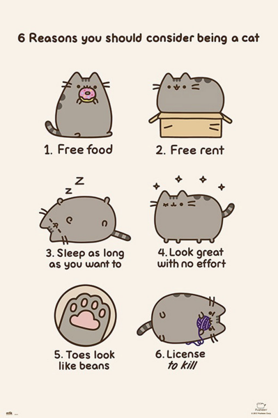 Pusheen - Poster - Six Reasons