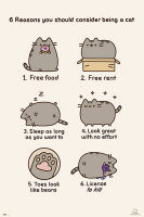 Pusheen - Poster - Six Reasons