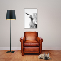 Kühe - Poster - Highland Cattle - Portrait - Horn
