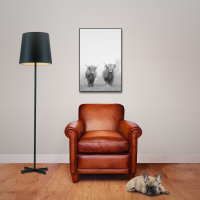 Kühe - Poster - Highland Cattle - 2 Rinder