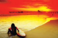 Landschaften - Poster - Surfing - Sunset