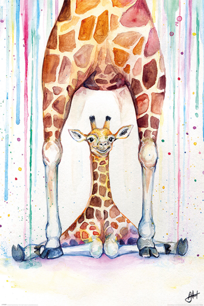 Allante, Marc - Poster - Gorgeous Giraffes