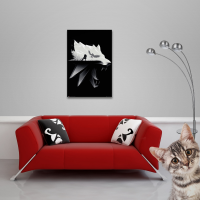 Witcher, The - Poster - Open World