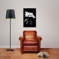 Witcher, The - Poster - Open World