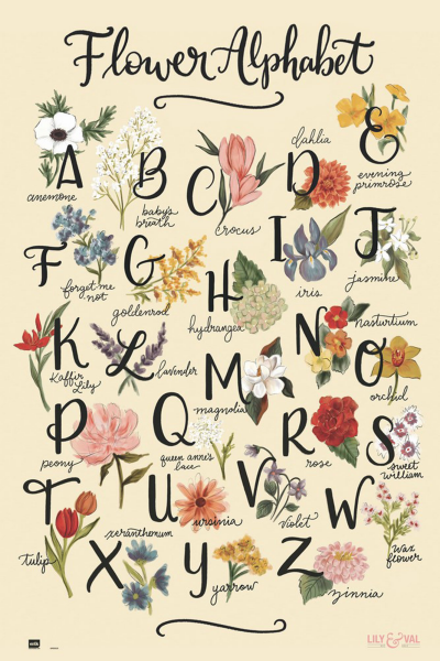 Lily & Val - Poster - Flowers Alphabet