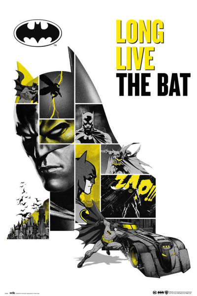 DC Comic - Poster - 80th Anniversary