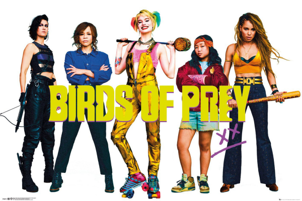Birds of Prey - Poster - Group