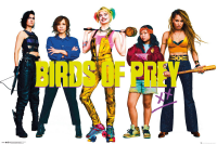 Birds of Prey - Poster - Group