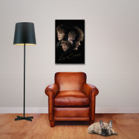 Lewis Capaldi - Poster - Double Exposure