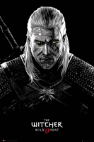 Witcher, The - Poster - Toxicity Poisoning