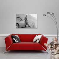 James Bond 007 - Poster - Connery & Aston Martin