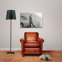 James Bond 007 - Poster - Connery & Aston Martin