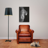 Wildlife - Poster - Löwe