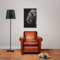 Wildlife - Poster - Elefant