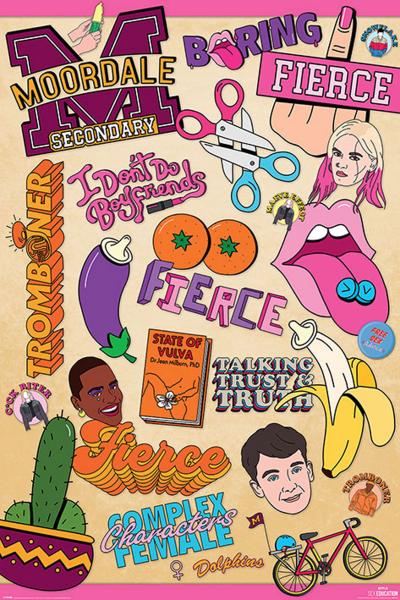 Sex Education - Poster - Infographic
