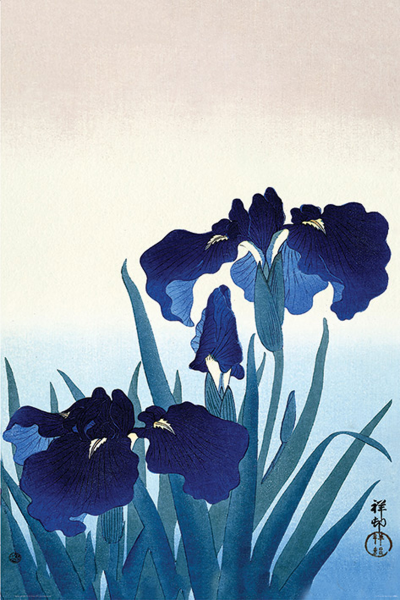 Ohara Koson - Poster - Iris Flowers