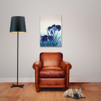 Ohara Koson - Poster - Iris Flowers