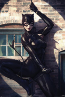 Catwoman - Poster - Spot Light