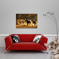 Pferde - Poster - Andalusier