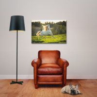 Pferde - Poster - white Horse