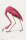American - Poster - Flamingo