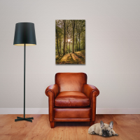 Sonnenaufgang im Wald - Poster - Sunrise Forest