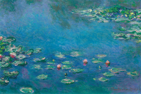 Monet, Claude - Poster - Waterlillies