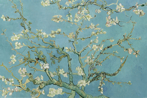Van Gogh, Vincent - Poster - Almond Blossom