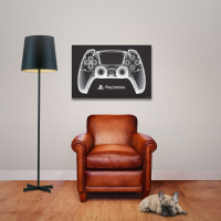 PlayStation - Poster - X-Ray Pad