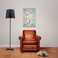 Educational - Bildung - Poster - Süsswasserfische